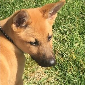 Meet your Posher, Ethan